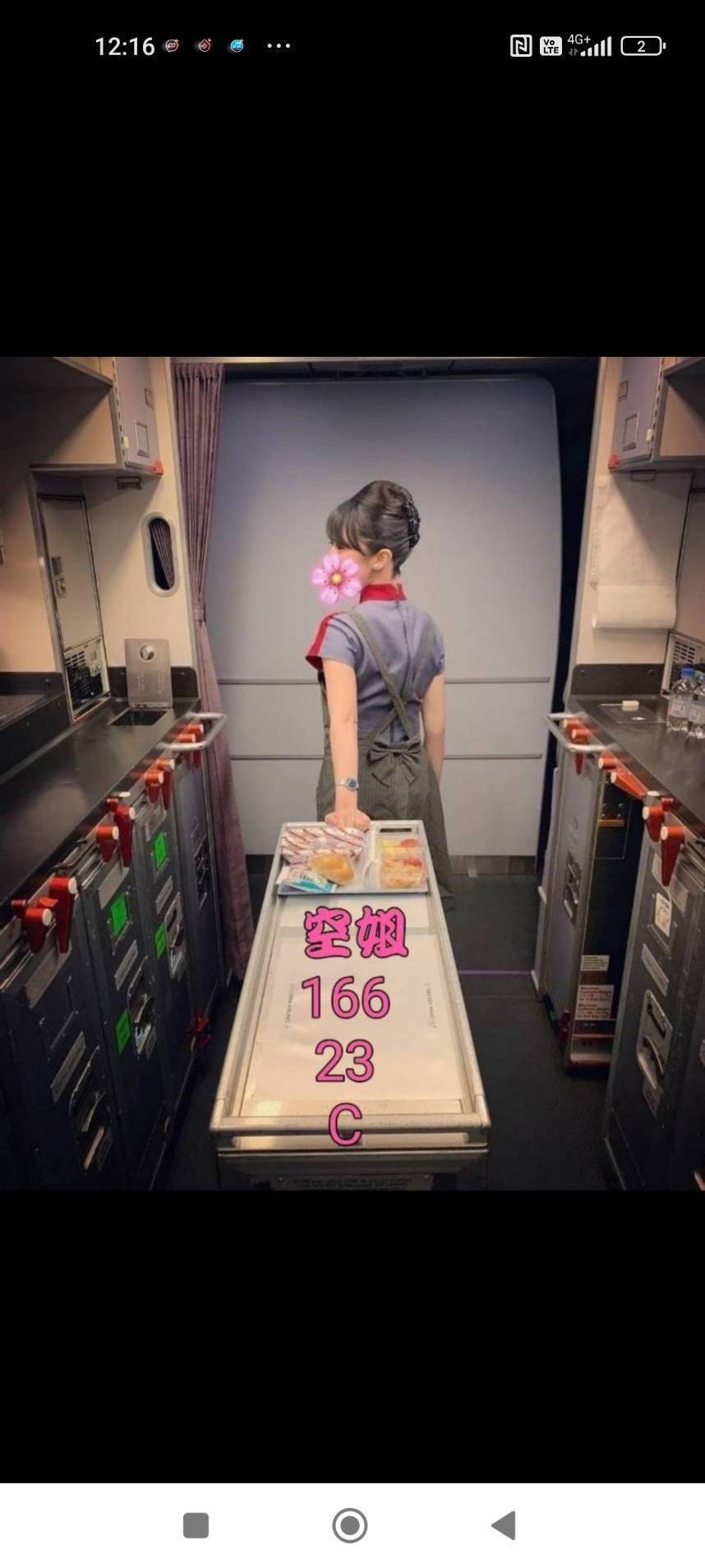 COCO外送台東 灣灣 159/48/22/36D